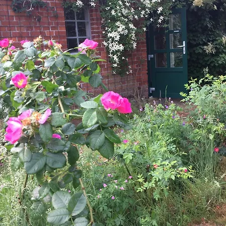 Privelacker Paradiesgarten Bed & Breakfast Privelack
