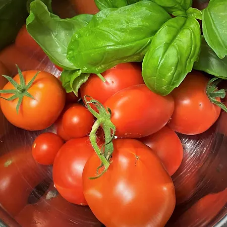 לינה וארוחת בוקר Privelacker Paradiesgarten Privelack