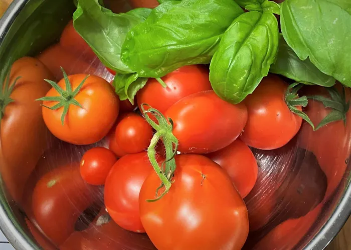 Bed & Breakfast Privelacker Paradiesgarten Privelack